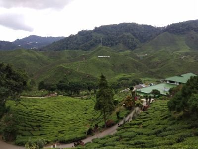 Eifah4's profile picture. Simple life