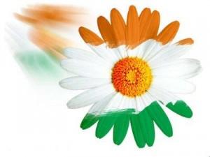 pradeepkannah's profile picture. 