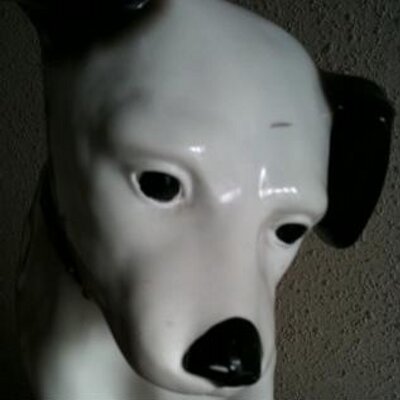 犬麻呂 Inumaro Twitter