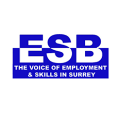 The Surrey Employment and Skills Board (ESB) is the voice of Surrey employers on skills issues impacting skills gaps and productivity