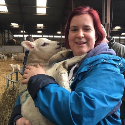 SolwayNemo's profile picture. Whipper owner, aspirational orcharder, cake eater. Often found wandering through bogs and exploring ruins, especially those on the Solway. Talks a lot too.