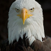 Fast Below Par (@aq_mnd) Twitter profile photo