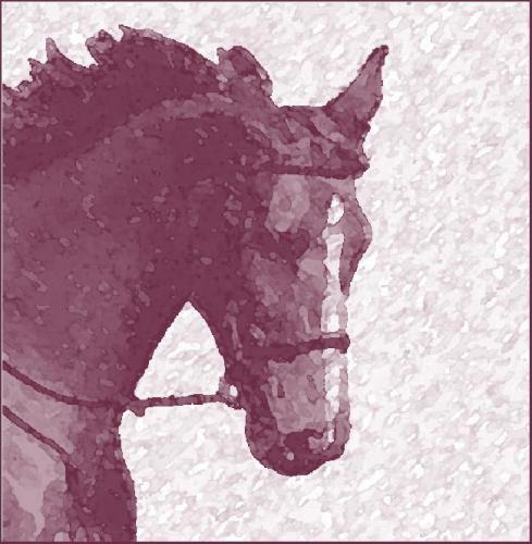 EquusSphere's profile picture. We offer fantastic quality Horse and Country Wear and some really amazing unusual Gifts for everyone