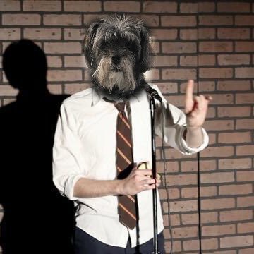 StormyDeuce's profile picture. General News Politics