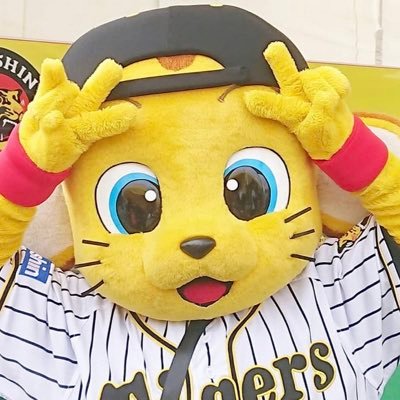 野球垢⚾️🐯関東のTORACO🙆‍♀️💕