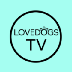 #LoveDogsTV #LDTV is a brand new online TV channel all about 🐶 Powered by @winkball