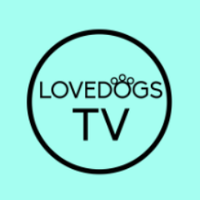 LOVEDOGS.TV(@LOVEDOGSTV) 's Twitter Profile Photo