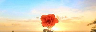 JOTRI_193636's profile picture. 😋💥👀😈💦