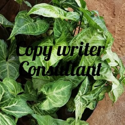 Copywriter Consultnt Profile