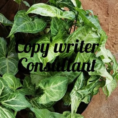 A copywriter that write with a specific goal in mind. Available for hire, DM for business