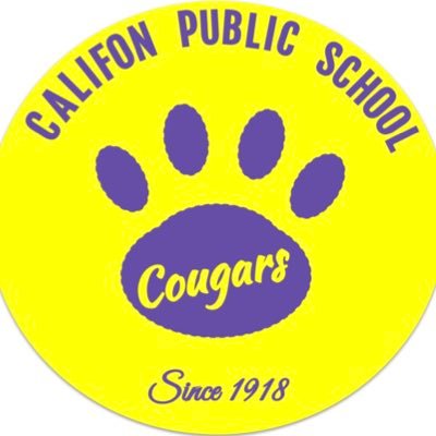 The official Twitter Account for The Califon Public School! Go Cougars! 🟡🐾🟣 #CalifonStrong 💪 #NJEd