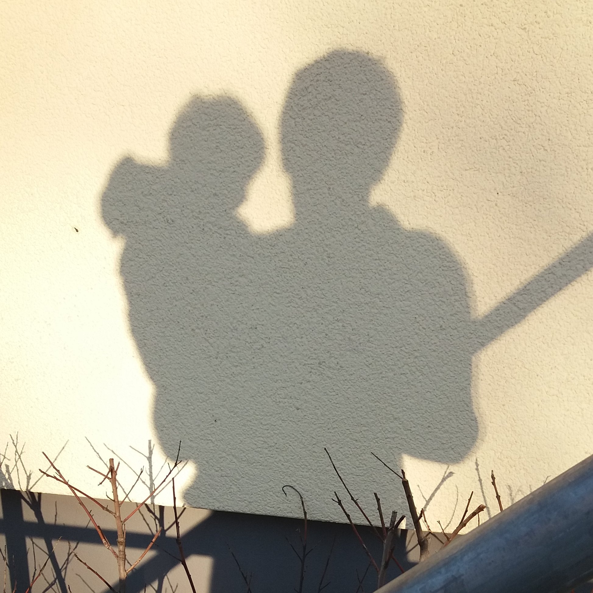 TorstenRackoll's profile picture. 