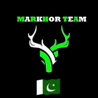 RanaWaqasPTI's profile picture. ‏‏‏‏‏‏‎‎‎‎‎‎@ImranKhanPTI کا سپاہی