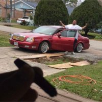 BB (@lacswanga713) 's Twitter Profile Photo BB (@lacswanga713) 's Twitter Profile Photo