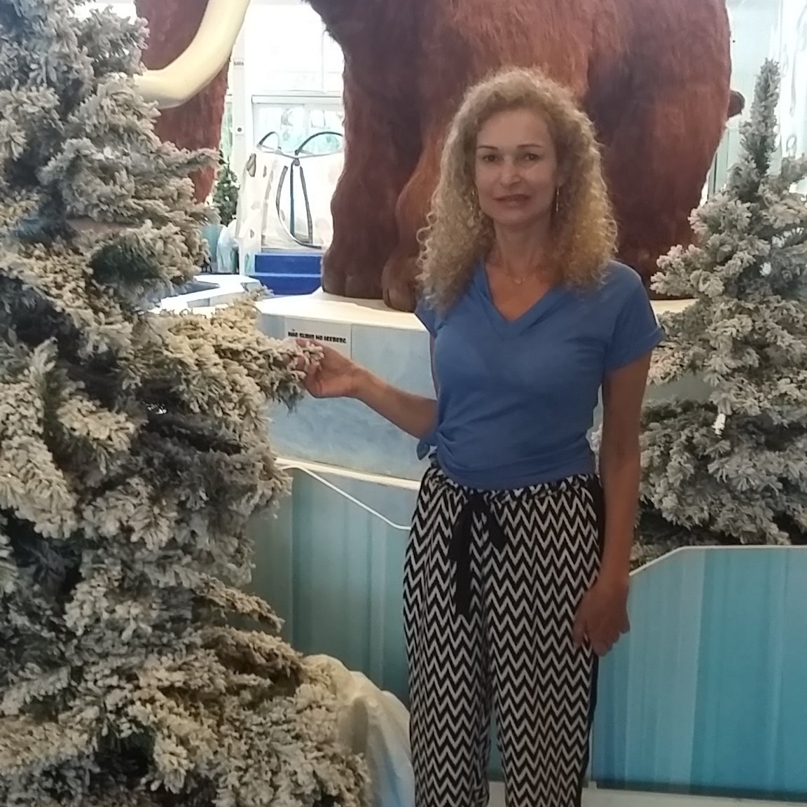 issa_marilia's profile picture. Valter 💑