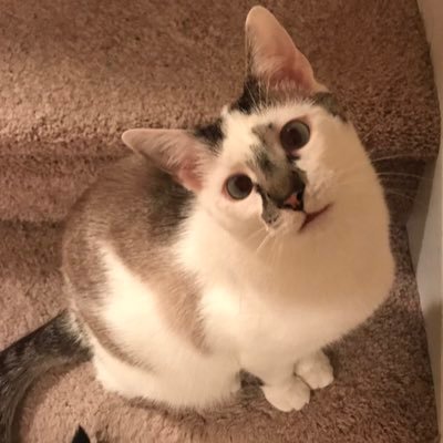 sunshinefg's profile picture. 