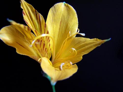 melorenzo's profile picture. 
