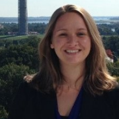 Associate Director Center for Diplomatic Engagement @MeridianIntl. Passionate abt intl affairs, politics and sushi