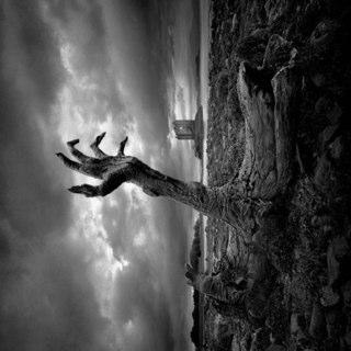 here2daygone2m's profile picture. 