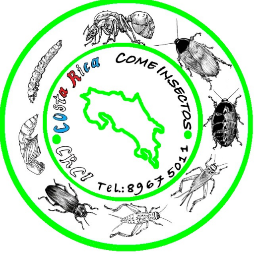 insectocr's profile picture. Somos productores agrícolas en 
Costa RICA COME Insectos