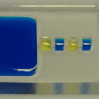 Lab on a Chip - Hull (@labonachiphull) 's Twitter Profile