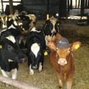 Roger Mann - @farmerM40 - Twitter