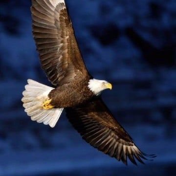 jucesar99306029's profile picture. 