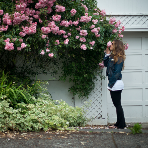 lauralowery's profile picture. Senior Communications + Creative Advisor