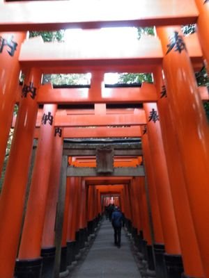 懸賞兼交換垢。成人済。ご希望なら本垢提示可。
