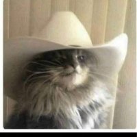 Leroy Brown (@leroybrwn2) 's Twitter Profile