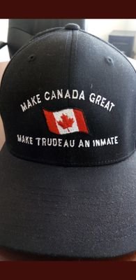 Make Canada Great Again #MCGA #VoteJustinOut  New Canadian party https://t.co/g96QSO3xRT Anti UN-COMPACT  Agenda 21/2030 Anti Carbon Tax Anti Globilists/gov