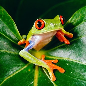 SelimDida's profile picture. Been born, lives, will die