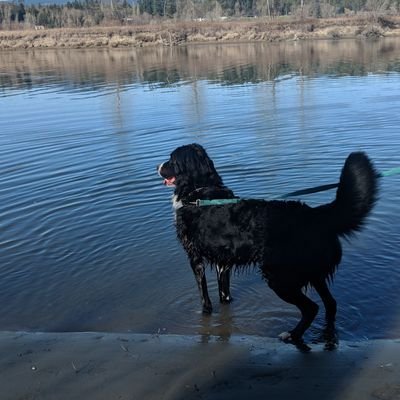 ArcticBear69's profile picture. 