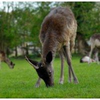 Ivonbrook's profile picture. Ivonbrook Nursing & Residential Home - Matlock, Derbyshire