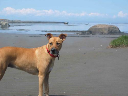 66Louie66's profile picture. 