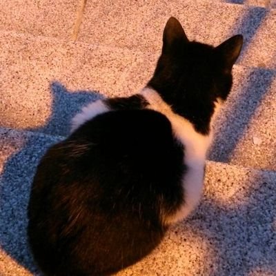 shionさんのプロフィール画像