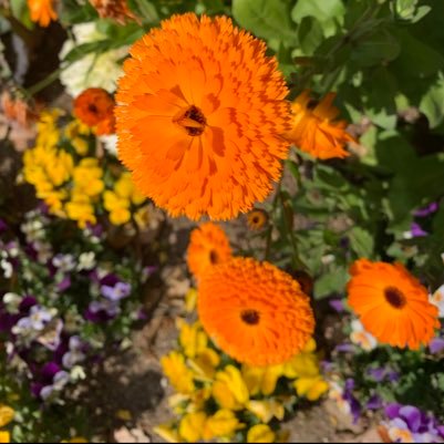 KB60799119's profile picture. 