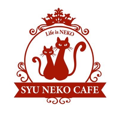 カフェねこ❶ FuFu cats 元町駅から徒歩5分 猫カフェ＆猫ちゃんの販売専門店