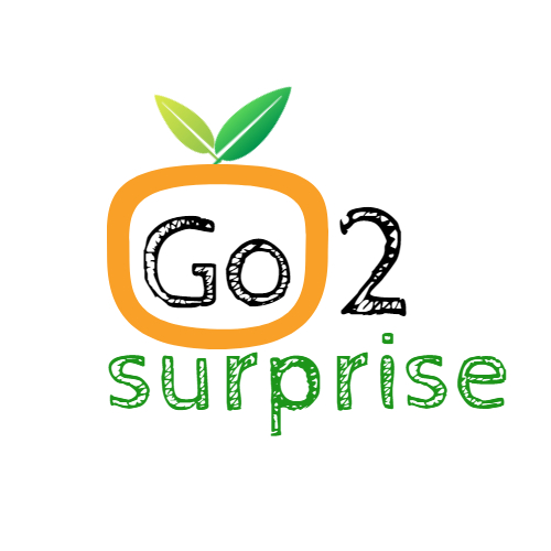 go2surprise