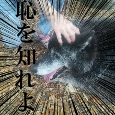 成人済クソ雑魚＆マジキチ野郎 
全てに蹂躙され続ける毎日
後悔はない
バチキンちゃんが大好きですバチキン受けなら何でも
バチキンちゃんがいるからツイートする気力が湧く
予定は…ちゃんと確認しような？