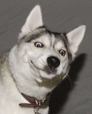 nagomi01tw's profile picture. 既婚引きこもりゲーマーPC勢昔マジな顔してAPEXやってた人/LoL/APEX/OW/FPS系/気軽にふょろーして！