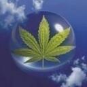 Victoria Coco - @TpointOprincess - Twitter