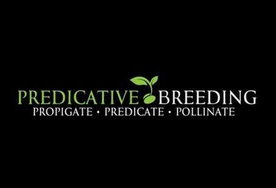 #Cannabis Breeder*
Stress Tested Genetics*
Feminized Cannabis Seeds Available*
Just doing what I love*
InstaG. - PredicativeBreeding *
*Support our troops*