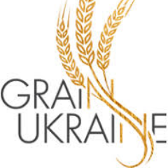 Eksport zboża i roślin oleistych z Ukrainy