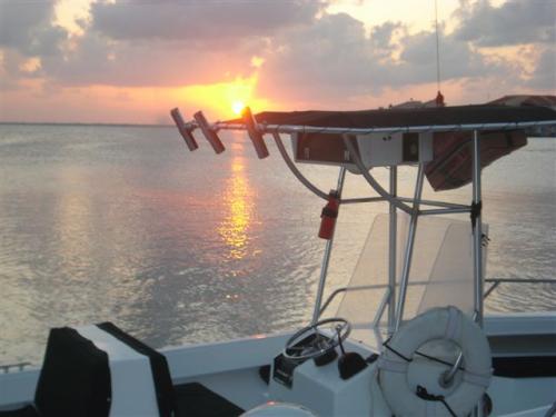 spring_isolator's profile picture. 