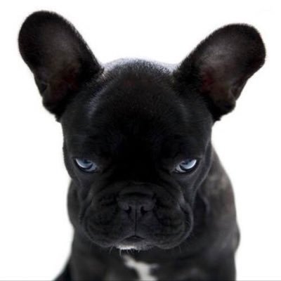 atitthan7's profile picture. 😏