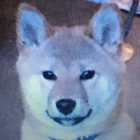 Sanjuro Tsubaki (@yonaoshi1) 's Twitter Profile Photo