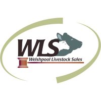 Welshpool Market(@WlsMarket) 's Twitter Profile Photo