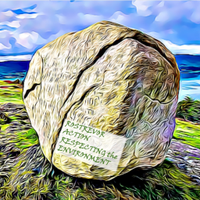 RARE - Rostrevor Action Respecting the Environment (@rostrevorrare) 's Twitter Profile
