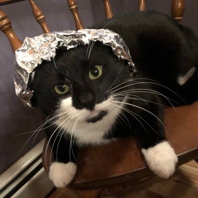 stn252525's profile picture. just a dot in the matrix